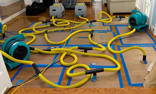 Professional Basement Flood Cleanup technician working in Daisytown, PA